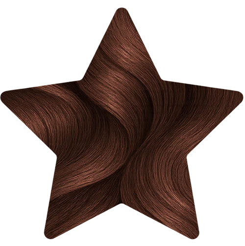 Blond Foncé Marron