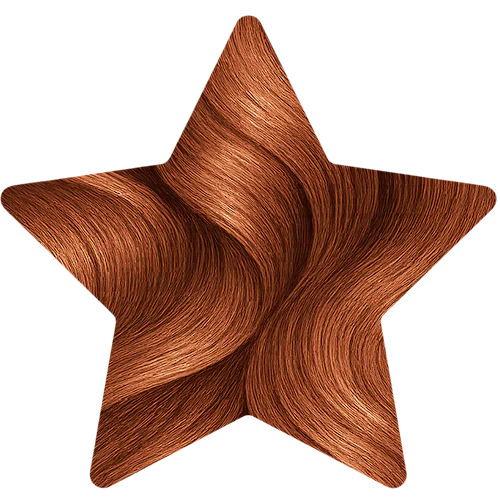 Blond Clair Marron Cuivré